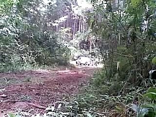 Trator de esteiras D6N abrindo ramal.mp4