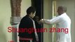 Fu Zhensong longxing baguazhang combat applications