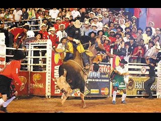 TOURO BANDIDO O BRUTO (JOTA MATTOS)