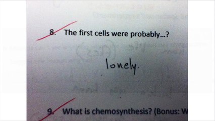Funny test answers from smartass kids