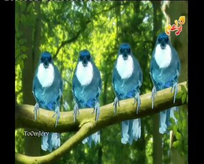 ريـحانة وحديقـة المـرح  Cartoon Arabic