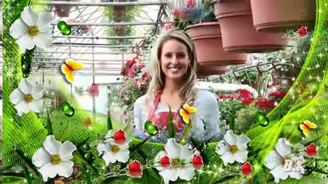 •*✿ red Roses for my Lady •*✿ Engelbert H.