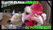 Martín garrix animals  (pollo remix)