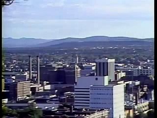 American Justice ~ Mob Ladies