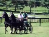 Kicked in head by horse