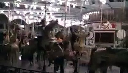 The Antique Carousel