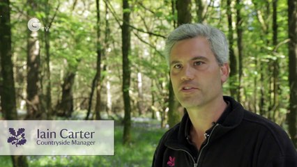 How to Heat an English Castle Using Renewable Energy