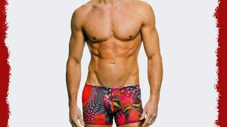 Kiniki Etna Tan Through Swim Hipster Mens Swimwear (M)