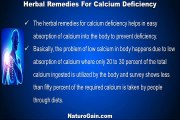 Best Herbal Remedies For Calcium Deficiency Prevent Weak Bones