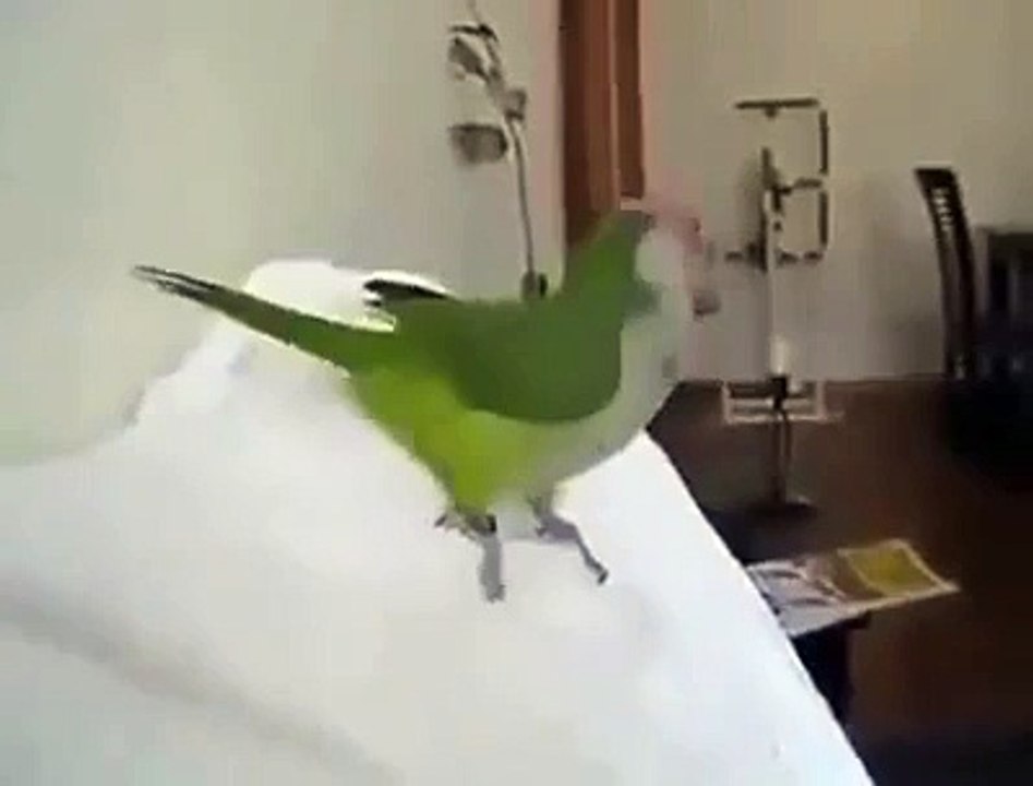 Filmlerdeki kötü kadın gülüşü bu olsa gerek