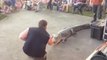 An alligator attacks a trainer at an area event. Fortunately the man was not seriously injured. FULL VIDEO HERE: