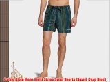 Calvin Klein Mens Multi Stripe Swim Shorts (Small Cyan Blue)
