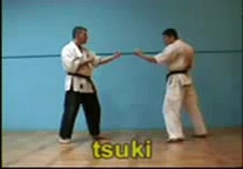 Seisan oyo bunkai