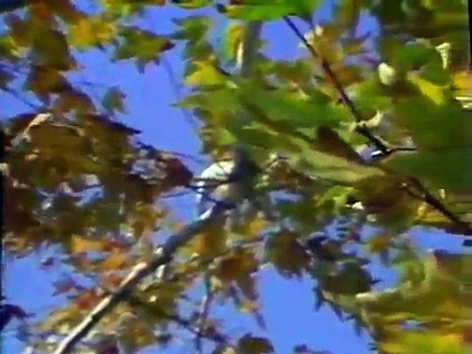 El Universo mecánico 01 - Introducción al Universo mecánico[1/3]