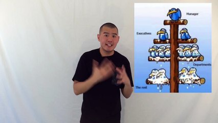 mlm companies - (must see!!)