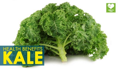 Kale - Health Benefits | Super Food