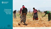 Facilitating access to rural finance and investment FAO (en)