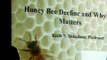 CCD,2of4,Keith Delaplane,Beekeeping colony collapse disorder,Israeli accute virus