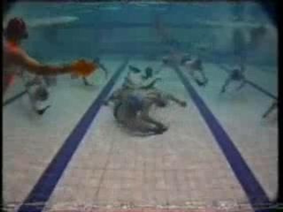 Underwater Hockey