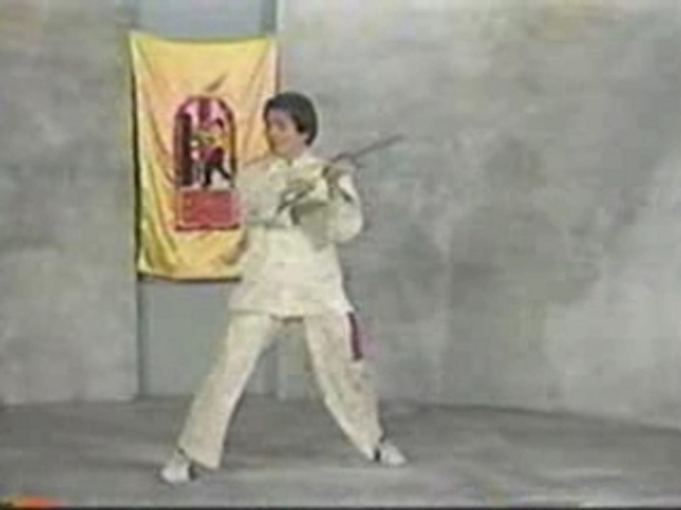 Wing Chun : Couteaux Papillons