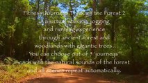 Fitness Journeys -Through the Forest 2, for indoor walking, treadmill and cycling workouts