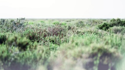 Elisa Sednaoui, nouvelle égérie Ermanno Scervino