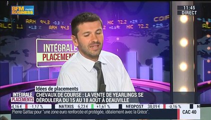 Idées de placement: le cheval de course - 07/07