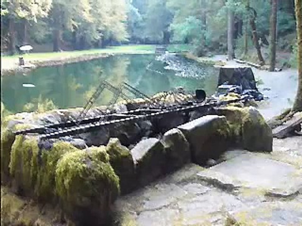 Order Of Death Final - Alex Jones