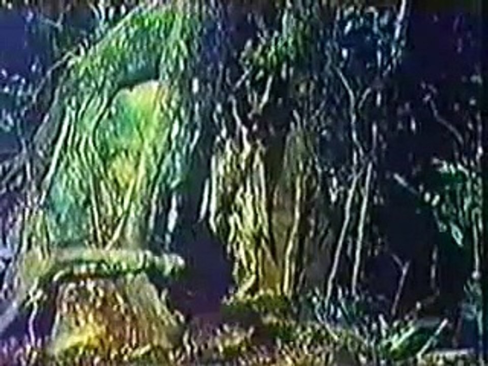 Hermeto Pascoal - More Música da Lagoa