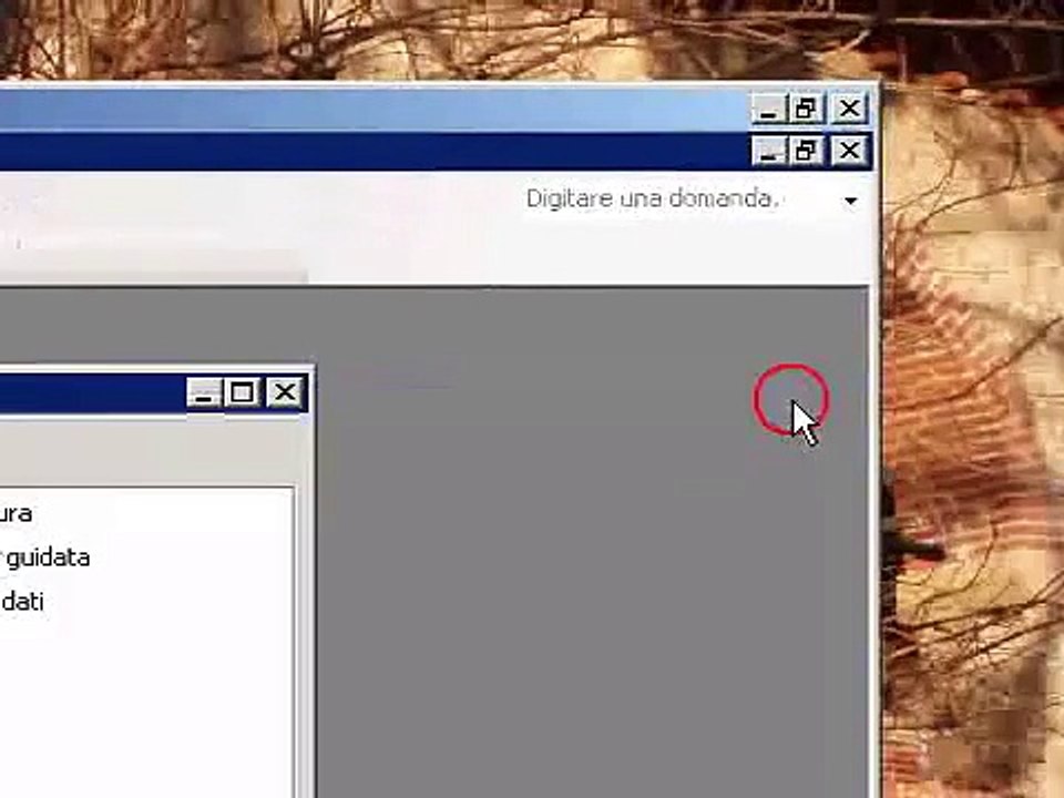 Access Tutorial applicazione Dcount usare maschere tabelle