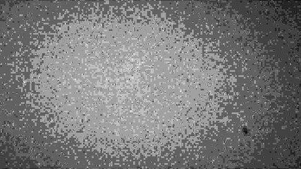 WWE 2K16 Trailer (Stone Cold Steve Austin)