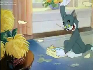 TOM AND JERRY - Funny Tom