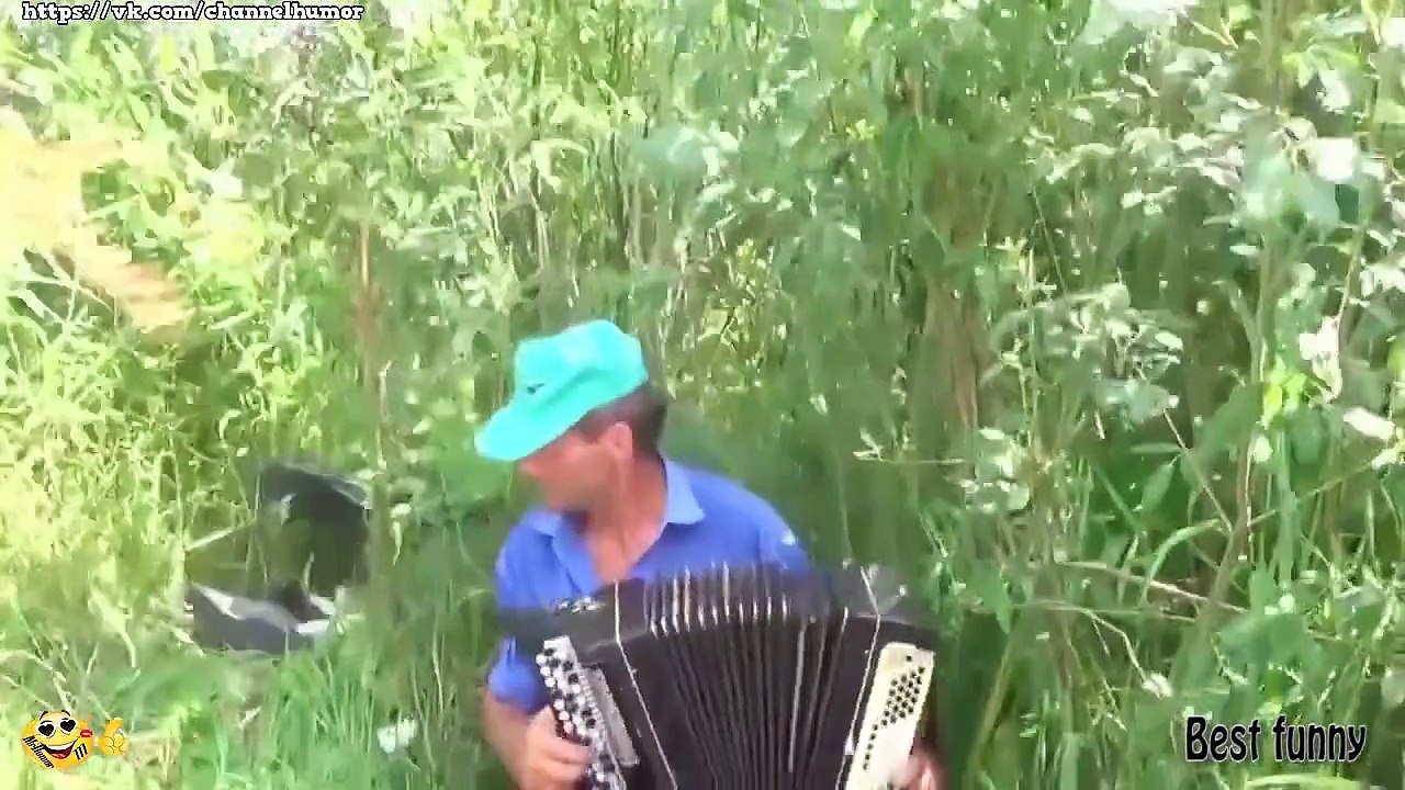 Funny Videos Try Not To Laugh Funny Pranks Funny Fails