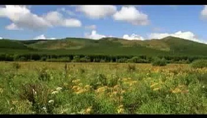 M´Kadesh - No Puedo Vivir Sin Ti  [Adoración]