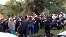 UC Davis Students Win Best OWS Protesters Award