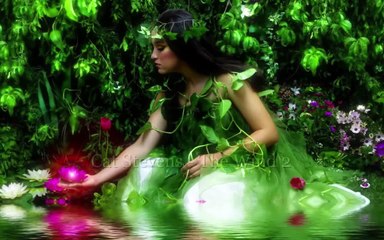 Cat Stevens - The Wind (The Wind lyrics on screen)