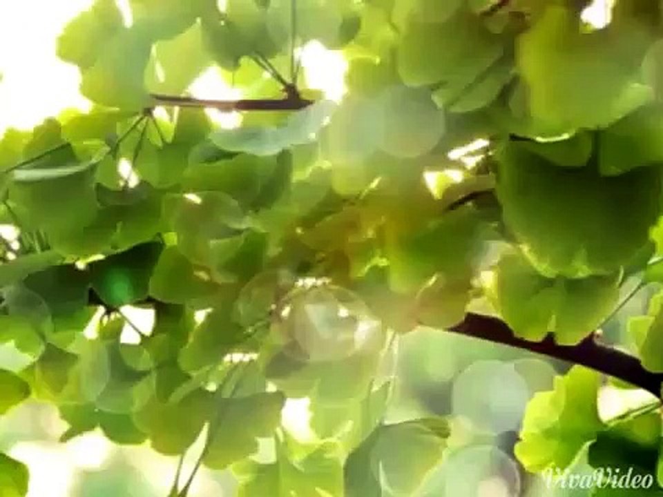 Yamada kun and the 7 witches otp