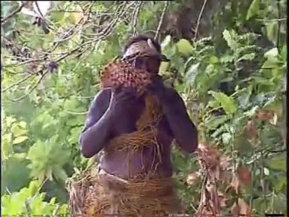 Solomon Islands Telekom