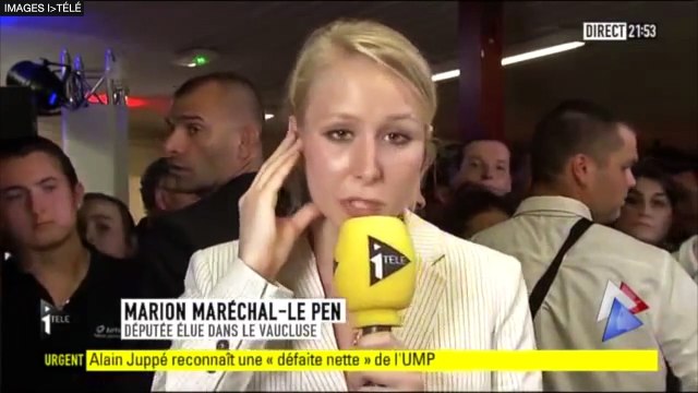 Marion Maréchal Le Pen, Députée FN du Vaucluse (janvier 2010 - mai 2015)
