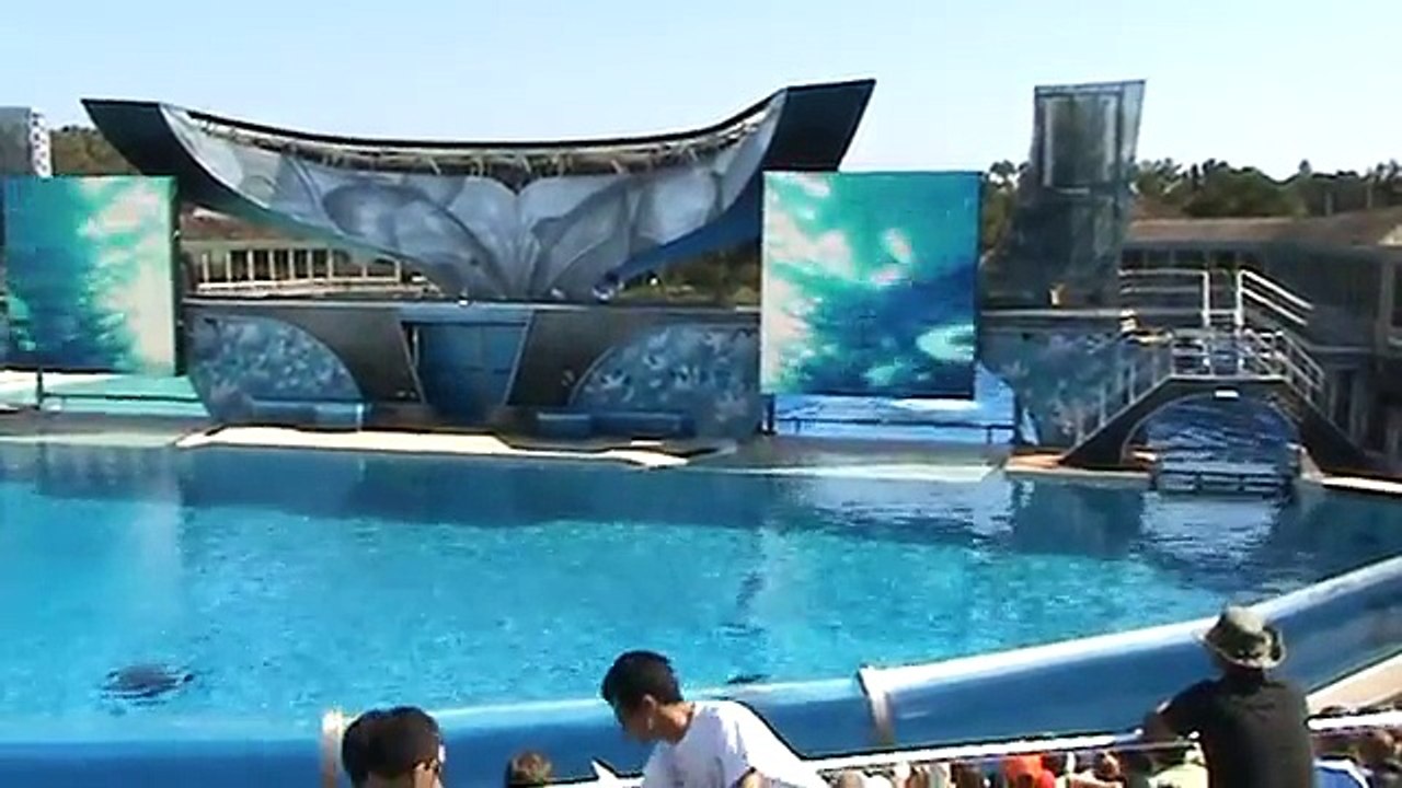 Shamu the Whale Show at sea world San Diego 2008