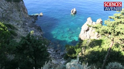 JAZZ. Le trio Duchemin