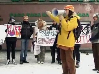 В киевском зоопарке гибнут животные