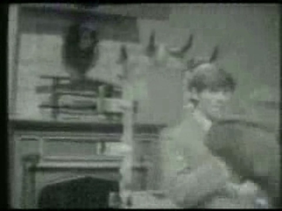 Tha Animals - It s my life
