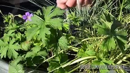 Top sugar hacks -  must see this video