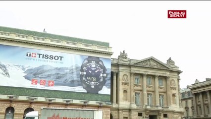 Publicité sur les monuments : un amendement qui "bâche" (Elisabeth Lamure)