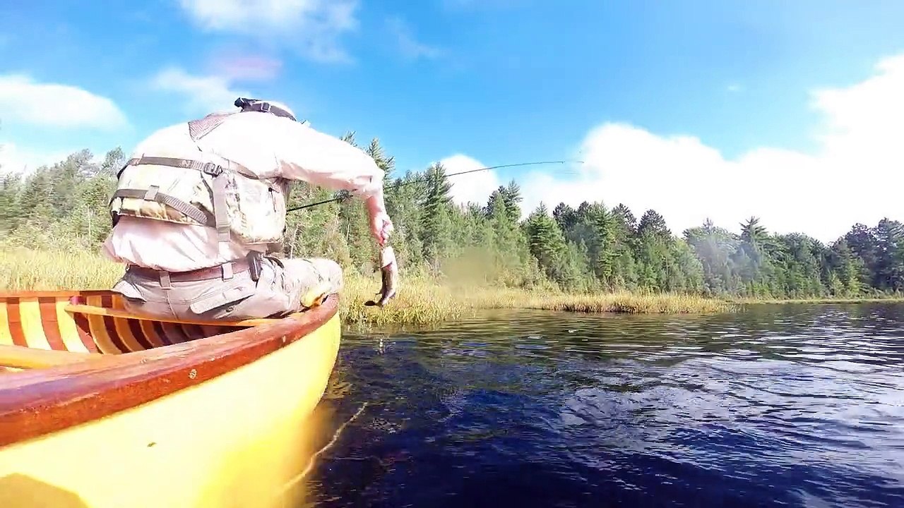 Bushwacking