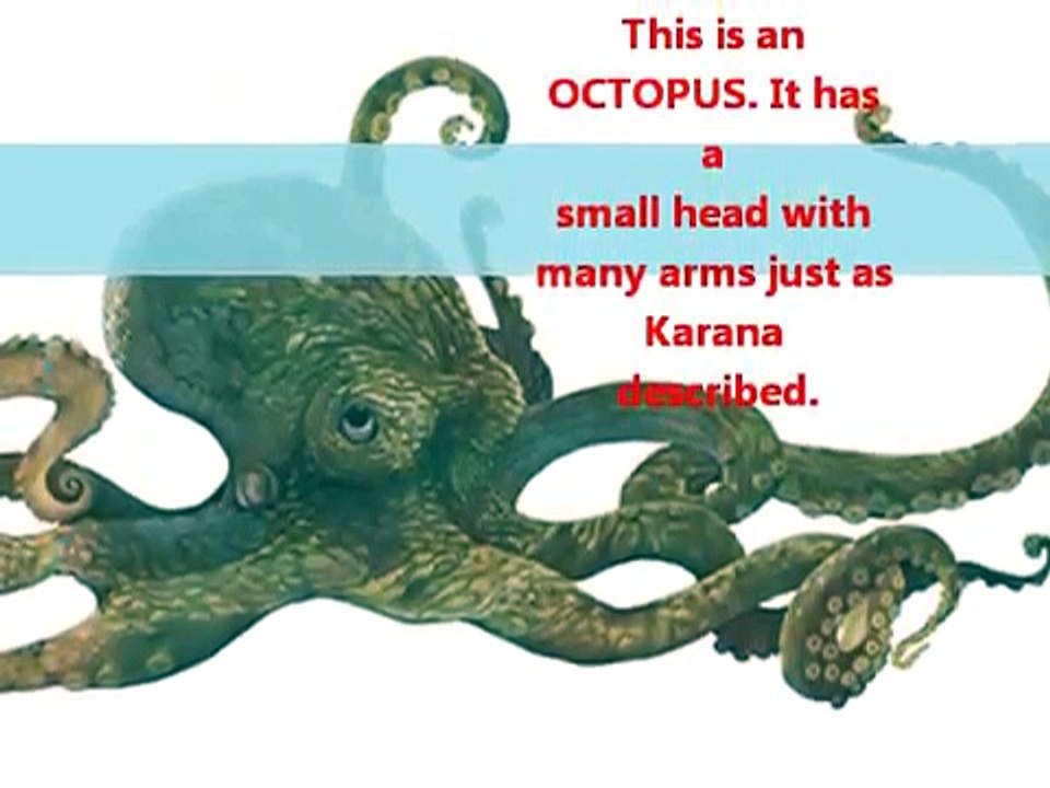 DEVIL FISH-Island of the Blue Dolphins