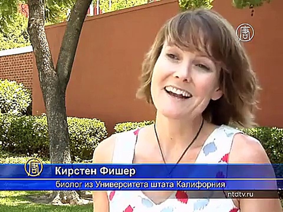 Засуха уничтожает деревья в Лос-Анджелесе
