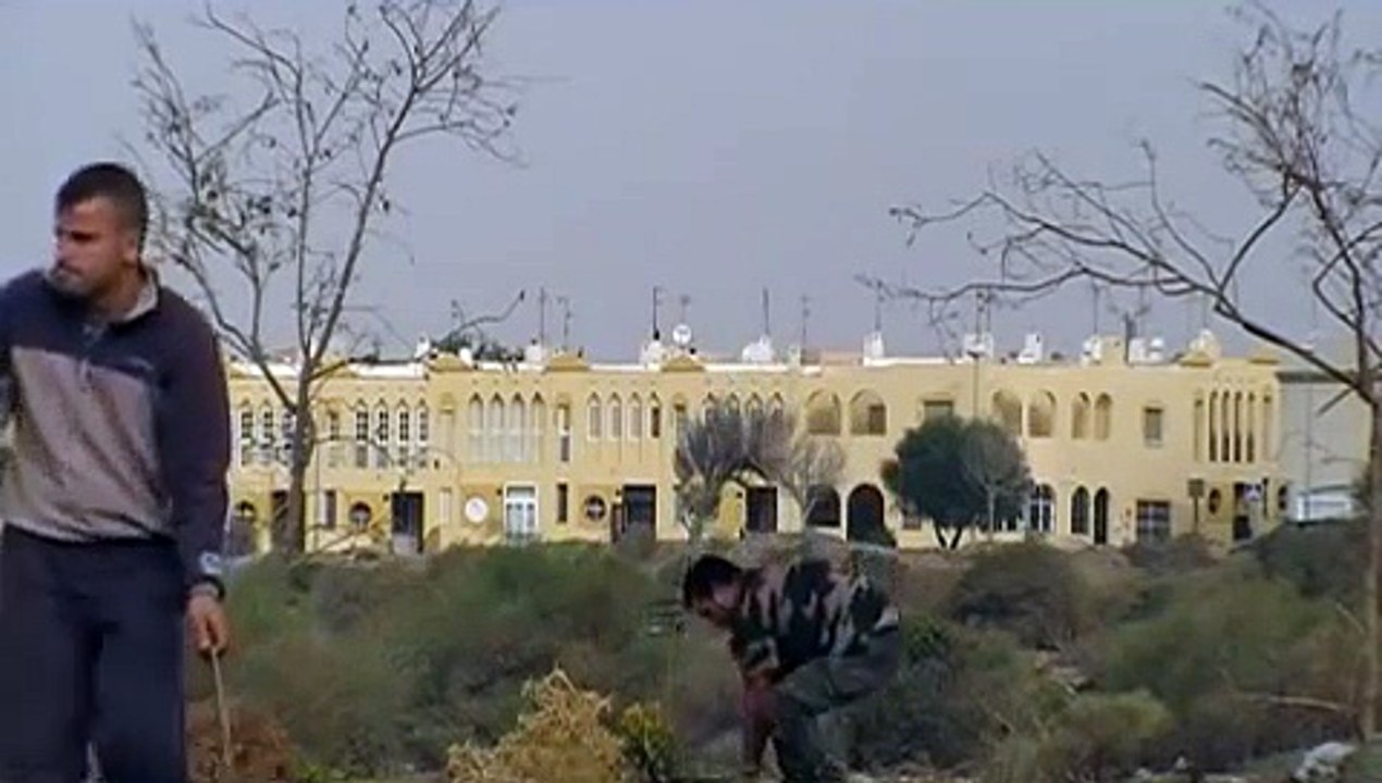 jilguero captura y caza dia 13-10-08