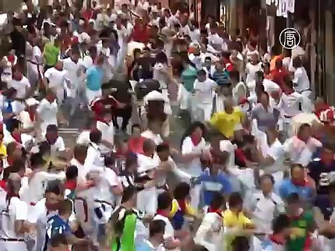 Во время забега с быками ранено 11 человек